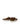 Men's Prsx Sneakers, Brown Bordeaux PRLUDG03 COGNAC PHILIPPE MODEL 