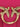PINKO 100048A14PN17Q